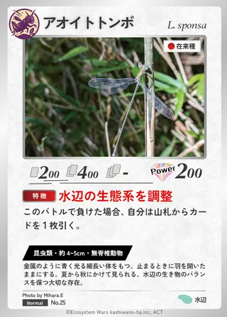 アオイトトンボ