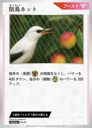防鳥ネット