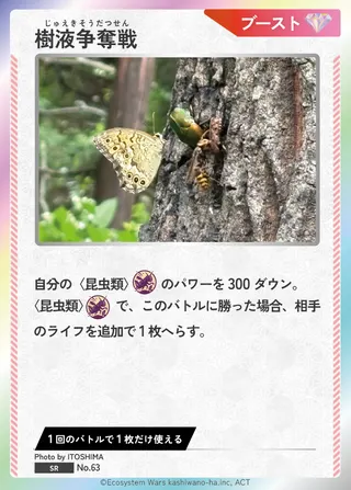 樹液争奪戦