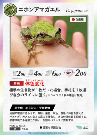 ニホンアマガエル