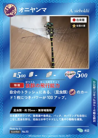 オニヤンマ